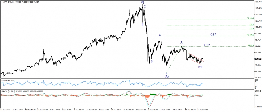 تحديث الفضة